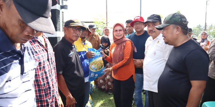 Merlan Serahkan 23 Ton Benih Padi dan Jagung Untuk Petani di Bone Bolango