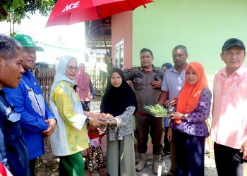 Merlan Tinjau dan Melakukan Pemanenan Perdana Program Kakanda di Desa Dutohe Barat