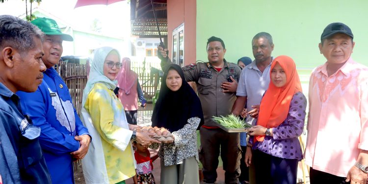 Merlan Tinjau dan Melakukan Pemanenan Perdana Program Kakanda di Desa Dutohe Barat