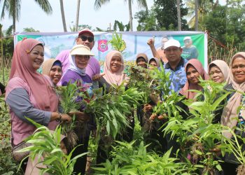 Plt Bupati Bone Bolango, Merlan S. Uloli melakukan panen sayur bareng emak-emak Kelompok Wanita Tani (KWT) di Desa Bube Baru, Kecamatan Suwawa, Jumat (5/1/2024). (F. Yudi/Sespri)
