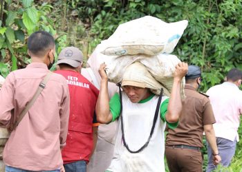 Cerita Ihwan Husain Seorang Penambang Soal Aktivitas Pertambangan di Suwawa Timur