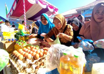 Pj. Sekda : Bupati Merlan Instruksikan Pembayaran TPP dan Honor Non-ASN Terpenuhi Hingga Akhir Tahun 2024