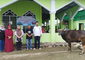 Sumbangan Sapi Kurban Bank SulutGo Suwawa, Pemkab Bone Bolango Arahkan Untuk PCNU dan Muslimat NU