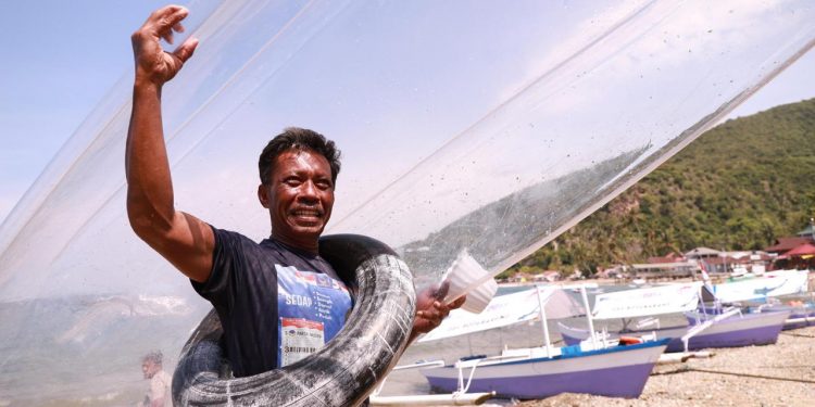 Pesona Hiu Paus dan Dampak Ekonomi Yang Mengikuti