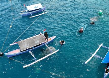 Ini Strategi Pemkab Bone Bolango Untuk Pengembangan Objek Wisata Hiu Paus Botubarani