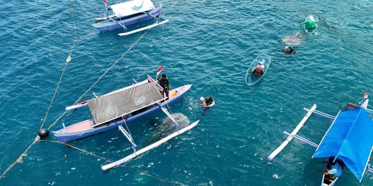 Ini Strategi Pemkab Bone Bolango Untuk Pengembangan Objek Wisata Hiu Paus Botubarani