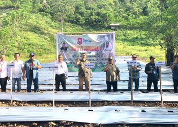 Berdayakan Petani Cabe Milenial, Pemkab Bone Bolango Luncurkan GERAK HATI