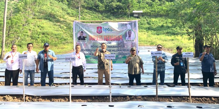 Berdayakan Petani Cabe Milenial, Pemkab Bone Bolango Luncurkan GERAK HATI