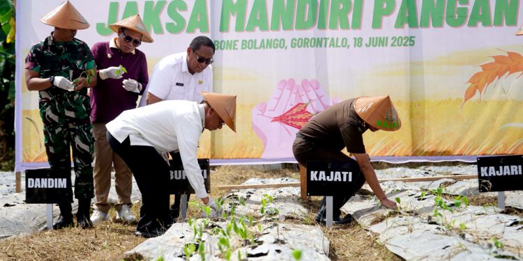 Bupati Ismet Mile Sebut Program Jaksa Mandiri Pangan Dorong Pendapatan Petani