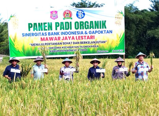 Wabup Risman Nilai Panen Padi Organik Upaya Jaga Kelestarian Lingkungan dan Kesehatan Masyarakat