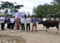Pemkab Bone Bolango Terima Sumbangan Sapi Kurban dari Bank SulutGo Cabang Suwawa