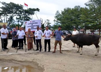 Pemkab Bone Bolango Terima Sumbangan Sapi Kurban dari Bank SulutGo Cabang Suwawa