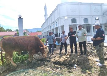 Masjid Agung Al-Marhamah Suwawa Terima Bantuan Sapi Kurban dari Presiden Prabowo