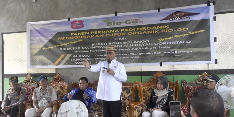 Bupati Ismet Dorong Petani Perkuat Ketahanan Pangan