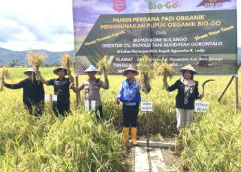 Wabup Risman Serukan Transformasi Pertanian Ramah Lingkungan