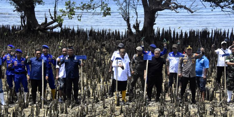 Upaya Pelestarian Lingkungan Pesisir Bone Bolango, Sekretaris BNPP RI Tanam Magrove di Pantai Desa Biluango