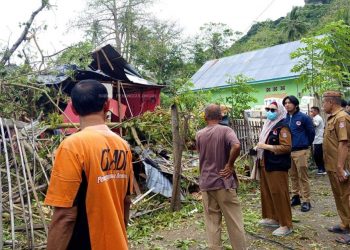 Tertimpa Pohon Tumbang, Dua Rumah Warga di Kabila Bone Rusak