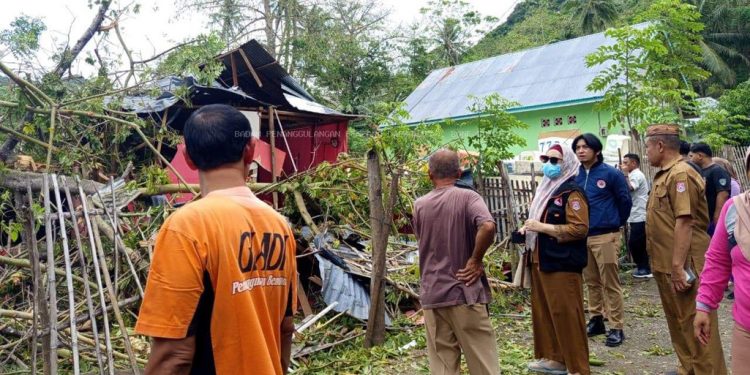 Tertimpa Pohon Tumbang, Dua Rumah Warga di Kabila Bone Rusak