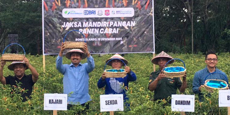 Panen Cabai Jaksa Mandiri Pangan, Kejari Bone Bolango Dukung Asta Cita Presiden