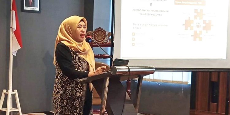 Pentingnya Data Untuk Perencanaan Pembangunan Yang Berkualitas