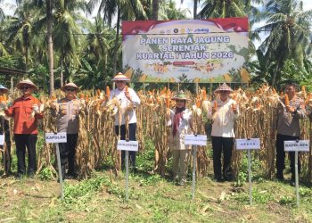 Sekretaris Daerah Bone Bolango, Iwan Mustapa saat melakukan Panen Raya Jagung Serentak Kwartal I Tahun 2026 bersama Gubernur Gorontalo Gusnar Ismail, Wagub Idah Syahidah Rusli Habibie, Kapolda Gorontalo Irjen Pol Widodo dan jajaran Forkopimda di Desa Tunggulo, Kecamatan Tilongkabila, Kamis (8/1/2026). (F.Indra/Diskominfo)