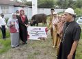Wujud Kepedulian Sosial, Bank SulutGo Serahkan Bantuan Sapi Kurban ke Pemda Bone Bolango