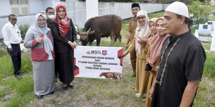 Wujud Kepedulian Sosial, Bank SulutGo Serahkan Bantuan Sapi Kurban ke Pemda Bone Bolango