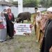 Wujud Kepedulian Sosial, Bank SulutGo Serahkan Bantuan Sapi Kurban ke Pemda Bone Bolango