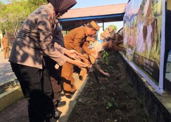 Sekda Iwan Mustapa saat memimpin Gerakan Tanam Cabai di SDN 5 Tilongkabila, Senin (28/9/2026)
